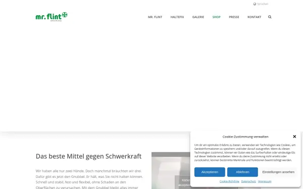 mr-flint.de