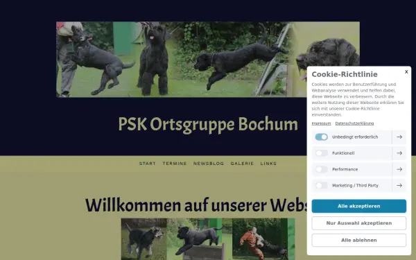 psk-og-bochum.de