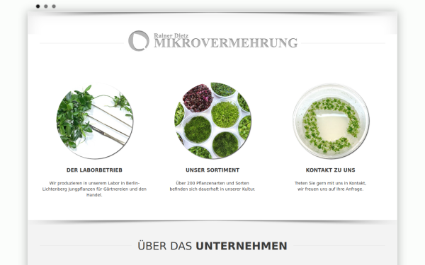 mikrovermehrung.de