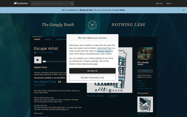 theganglyyouth.bandcamp.com