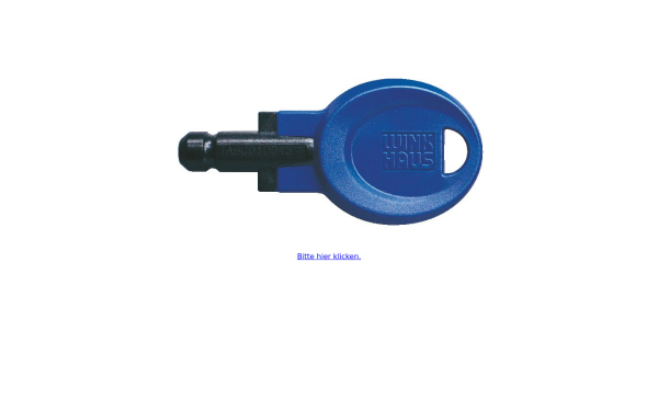 bluechip-partner.de