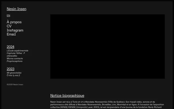 nesininsen.com