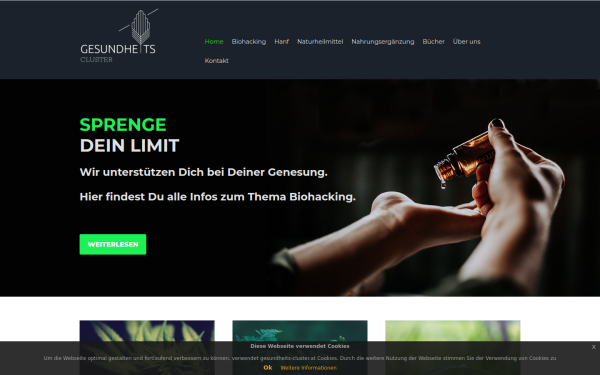 www.gesundheits-cluster.at