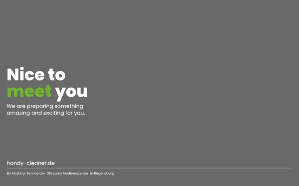 handy-cleaner.de