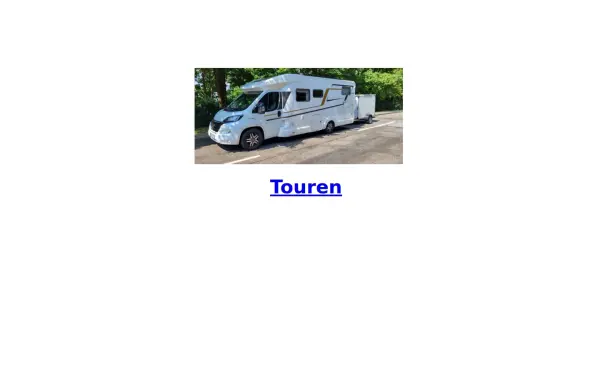 gruenen.de