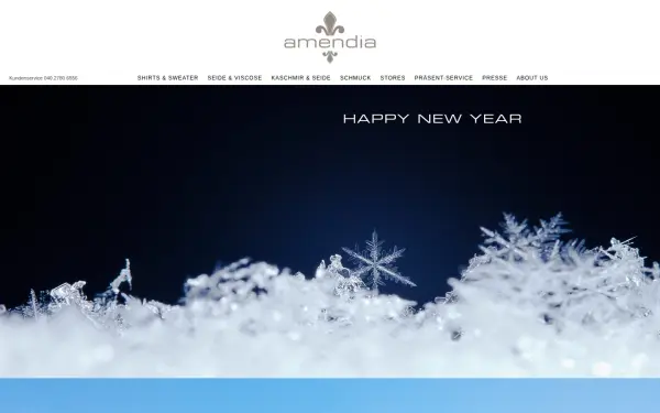 www.amendia.de