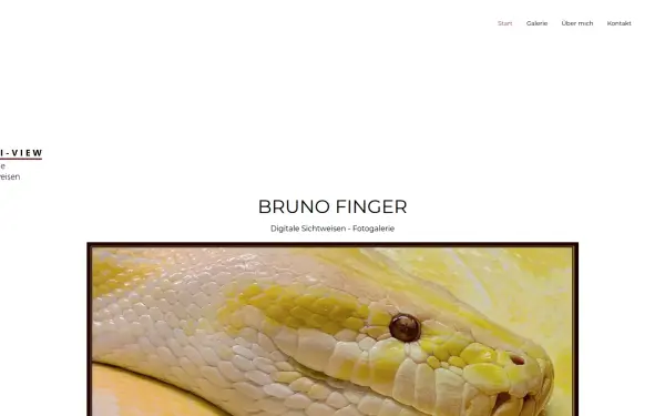 www.digi-view.de