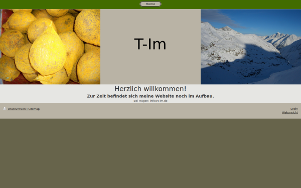 www.t-im.de