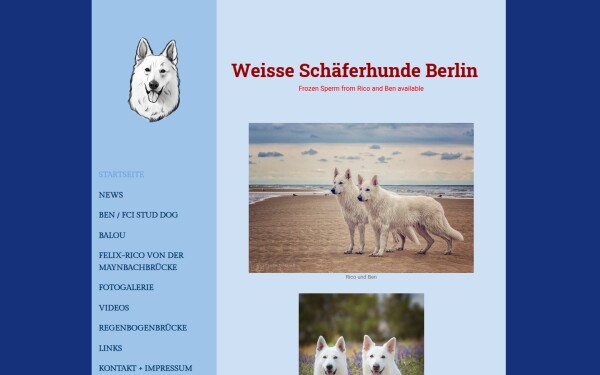 www.weisse-schaeferhunde-berlin.de