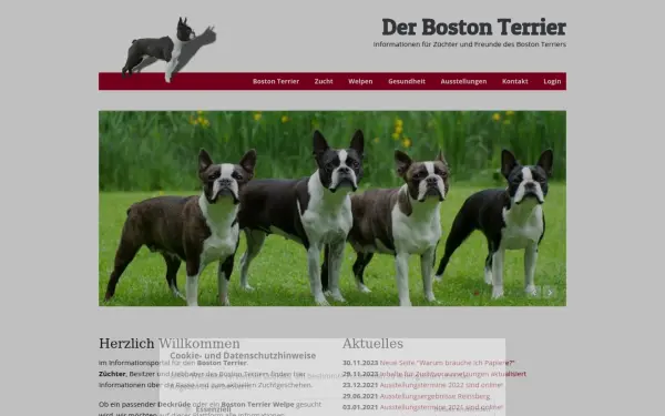 www.der-boston-terrier.de