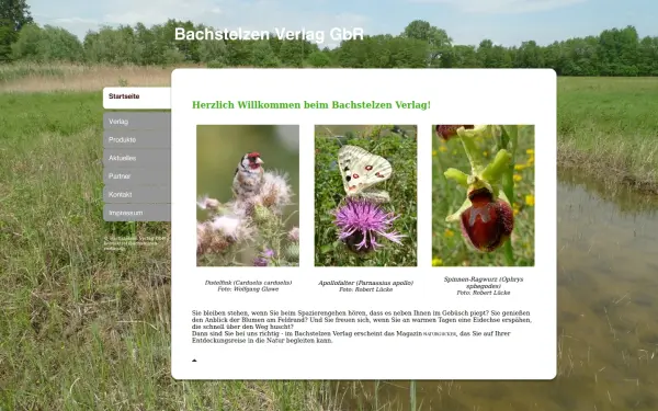 bachstelzen-verlag.de