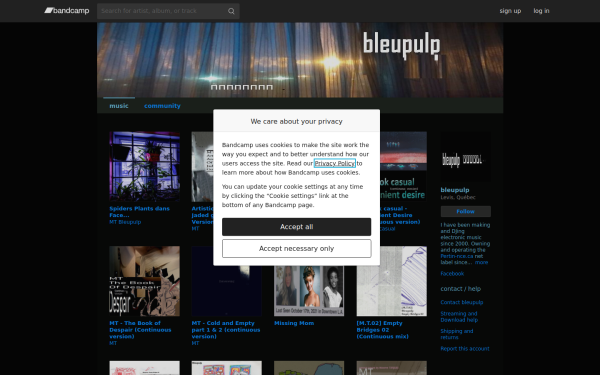 bleupulp.bandcamp.com