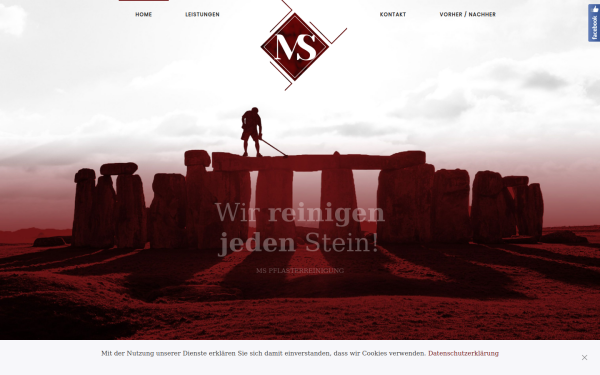 ms-pflasterreinigung.at