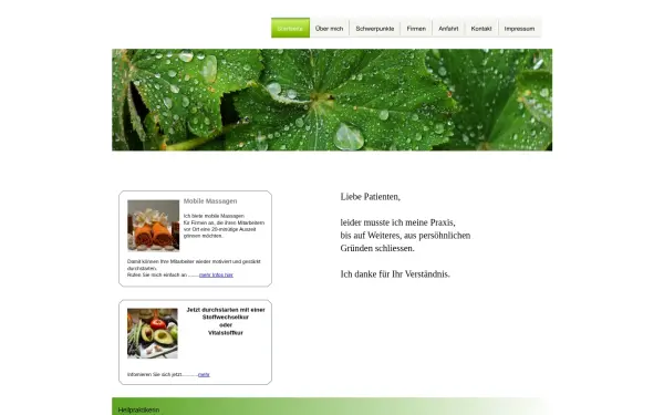 heilpraxis-hanisch.de