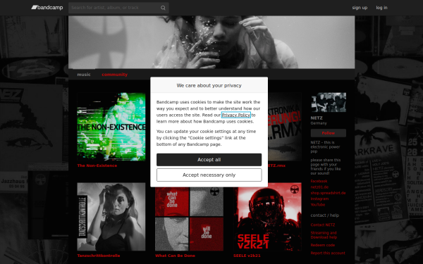 netz.bandcamp.com