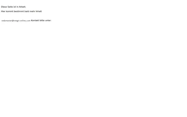 h-hengst.de