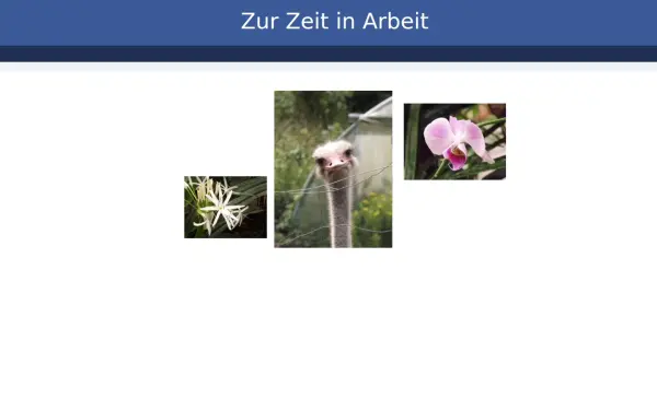 heinz-ulrich-schweitzer.de