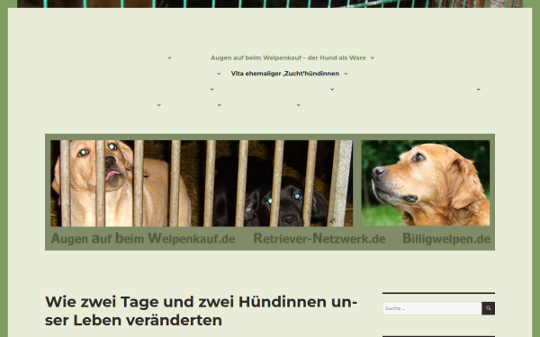 augen-auf-beim-welpenkauf.de