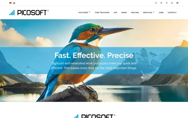 www.picosoft.de