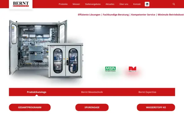 www.bernt-messtechnik.de