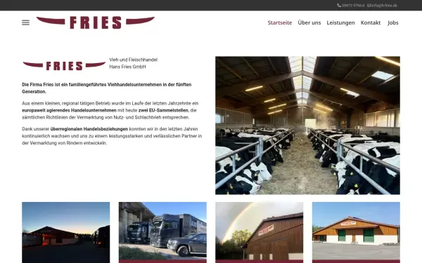 vieh-fries.de