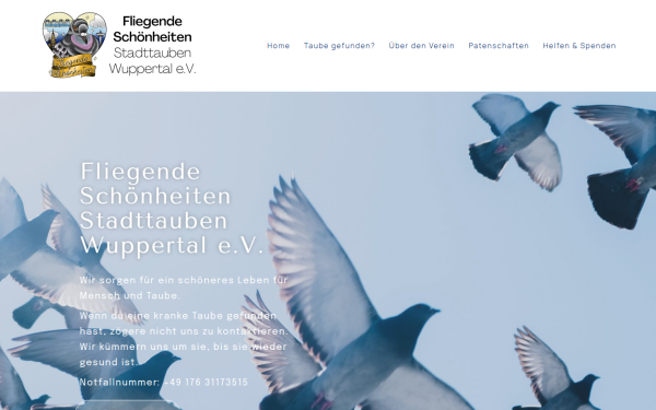 fliegendeschoenheiten.de