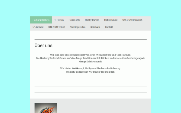 www.harburg-baskets.de