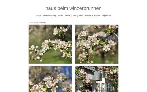 www.haus-beim-winzerbrunnen.de