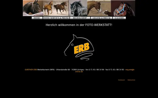 www.erb-horsefoto.de