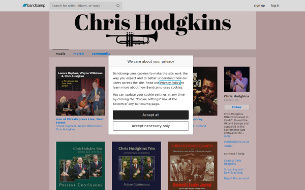 chrishodgkins.bandcamp.com