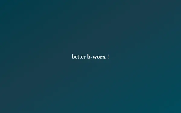 www.b-worx.de