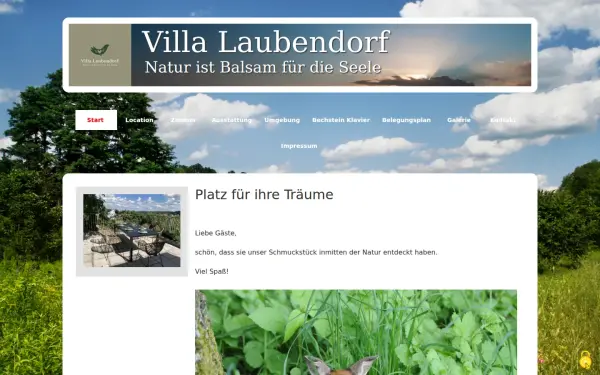 www.grasser.de