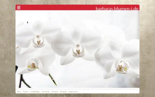 barbaras-blumen-i.de