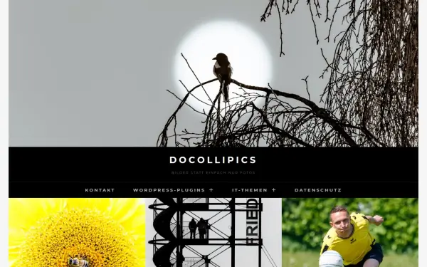 www.docollipics.de