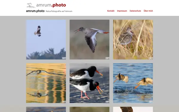 amrum-foto.de