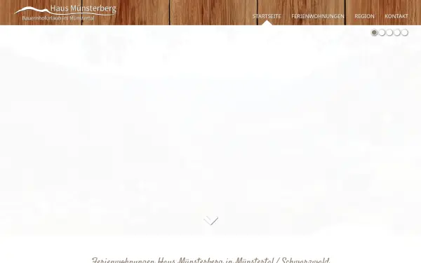 www.haus-muensterberg.de