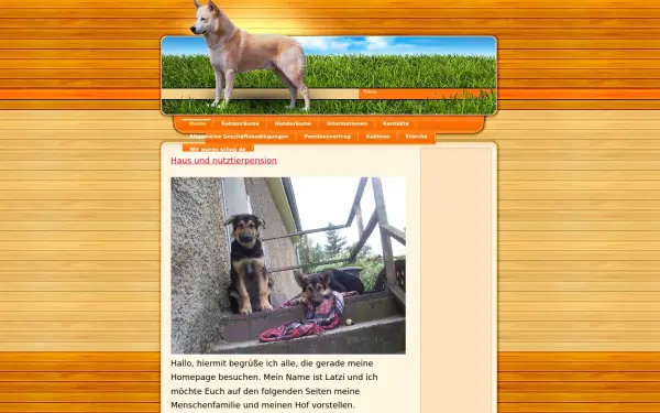 hausundnutztierpensionbansee.de