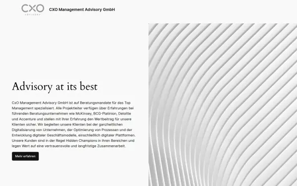 www.cxo-advisory.de