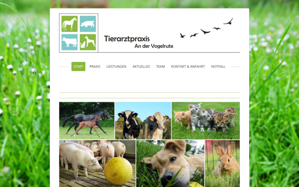 www.tierarztpraxis-vogelrute.de