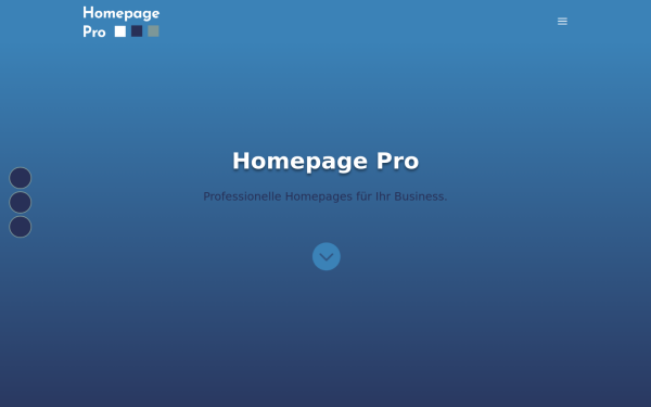 homepagepro.biz