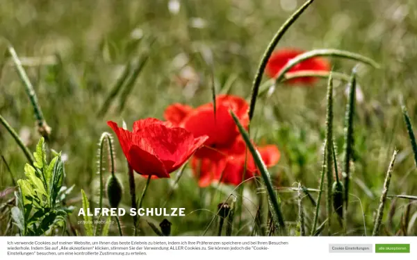 alfred-schulze.de