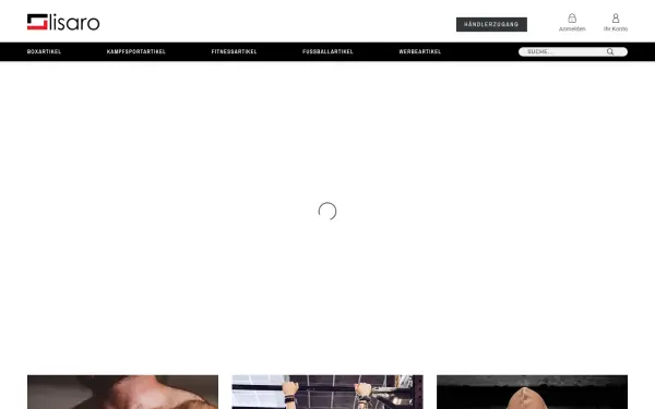 lisaro.de