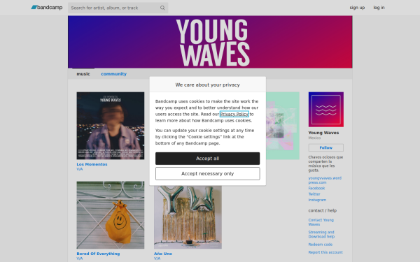 youngvvaves.bandcamp.com