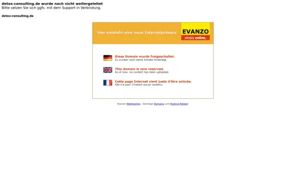 detox-consulting.de