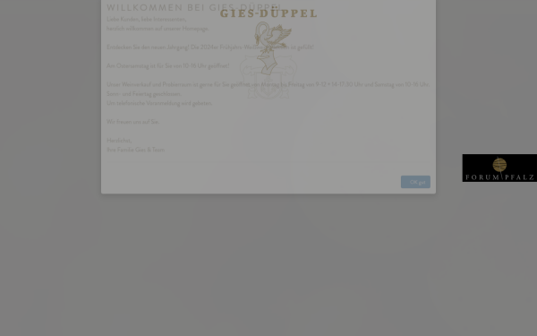 gies-dueppel.de
