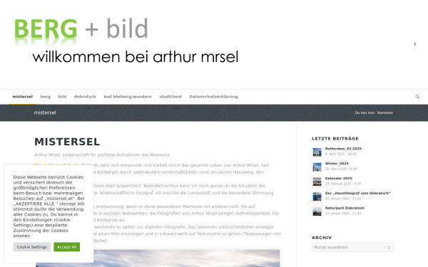 www.mistersel.at