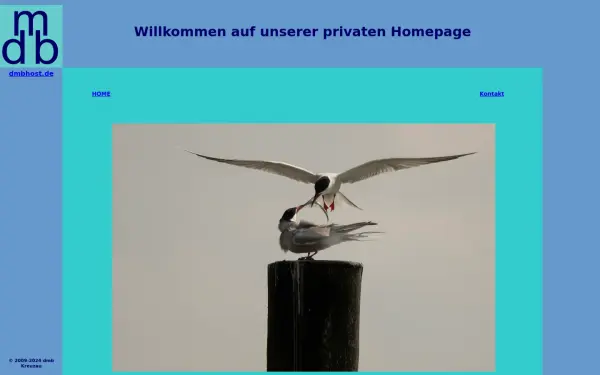 dmbhost.de