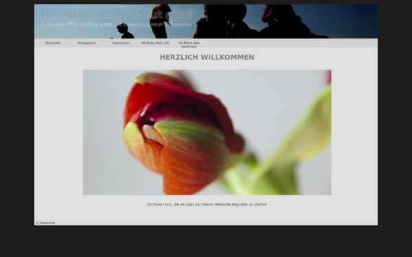 www.helmut-gaal.at