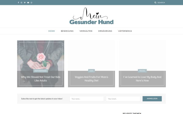 mein-gesunder-hund.de