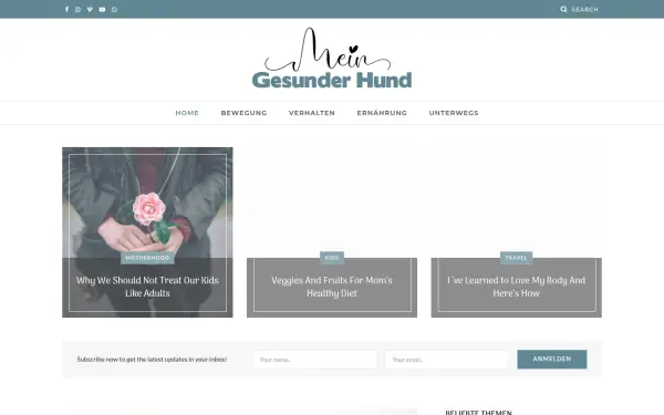 mein-gesunder-hund.de